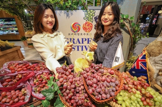 현대백화점은 다음 달 11일까지 전국 15개 점포에서 ‘포도 페스티벌(Grapes Festival)’을 연다. [사진=현대백화점 제공]
