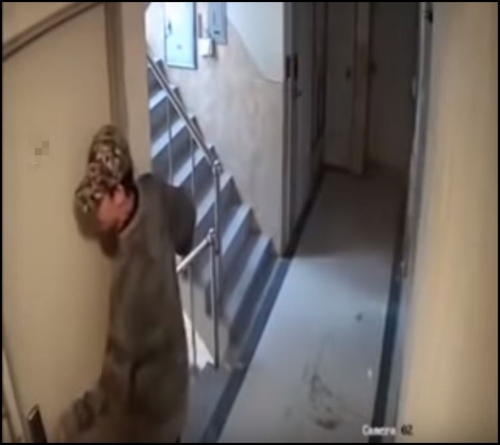 경찰이 이른바 '신림동 강간미수 CCTV'에 등장하는 남성 A씨(30)에 대해 주거침입 강간미수 혐의로 구속영장을 신청했다.  [사진=유튜브 캡쳐]