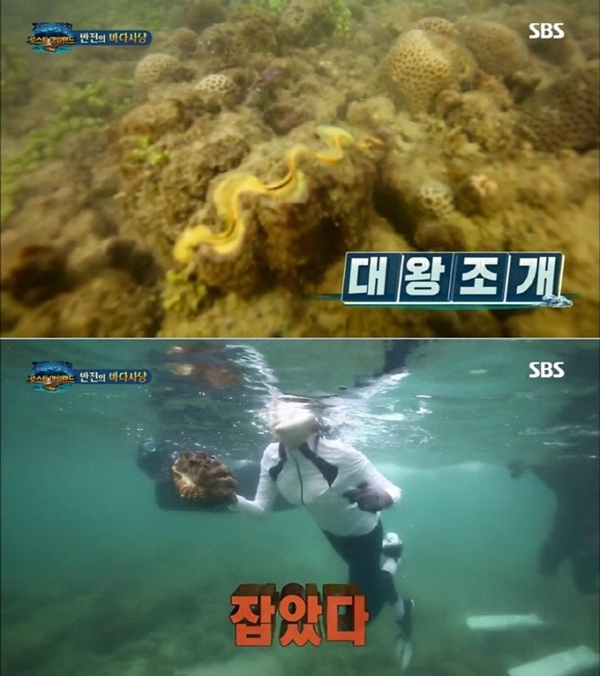 SBS 예능프로그램 ‘정글의법칙’이 태국 촬영 중 멸종위기종으로 분류되는 대왕조개를 불법 채취해 논란이 일고 있다.  [사진=SBS '정글의 법칙' 갈무리]