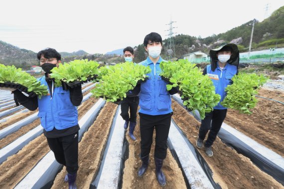 KT&G 임직원이 잎담배 농가를 돕기 위해 제천을 방문했다. [사진=KT&G 제공]
