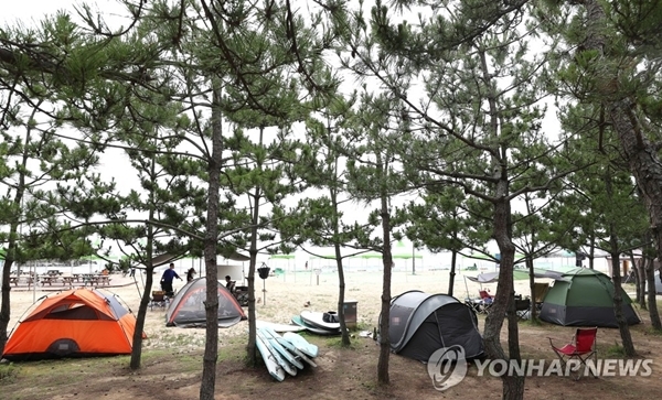 강원 동해안의 한 해변에서 관광객들이  캠핑을 하고 있다. [사진=연합뉴스]