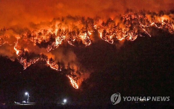 지난 3월 발생한 경북 울진 산불은 바람을 타고 번져 이웃한 삼척 고적마을 일대 산림까지 태웠다. [사진=연합뉴스 제공]